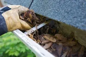 gutter cleaning norfolk va